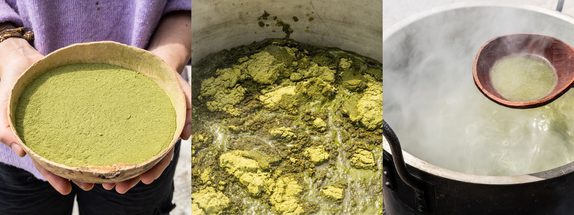 Coca goes RAL COLOUR FEELING 2026+ | RAL FARBEN die Kokapflanze als Färbemittel. Verschiedene Stufen der Farbherstellung. Coca goes RAL COLOUR FEELING 2026+ | RAL COLOURS the coca plant as a colouring agent. Different stages of colour production.
