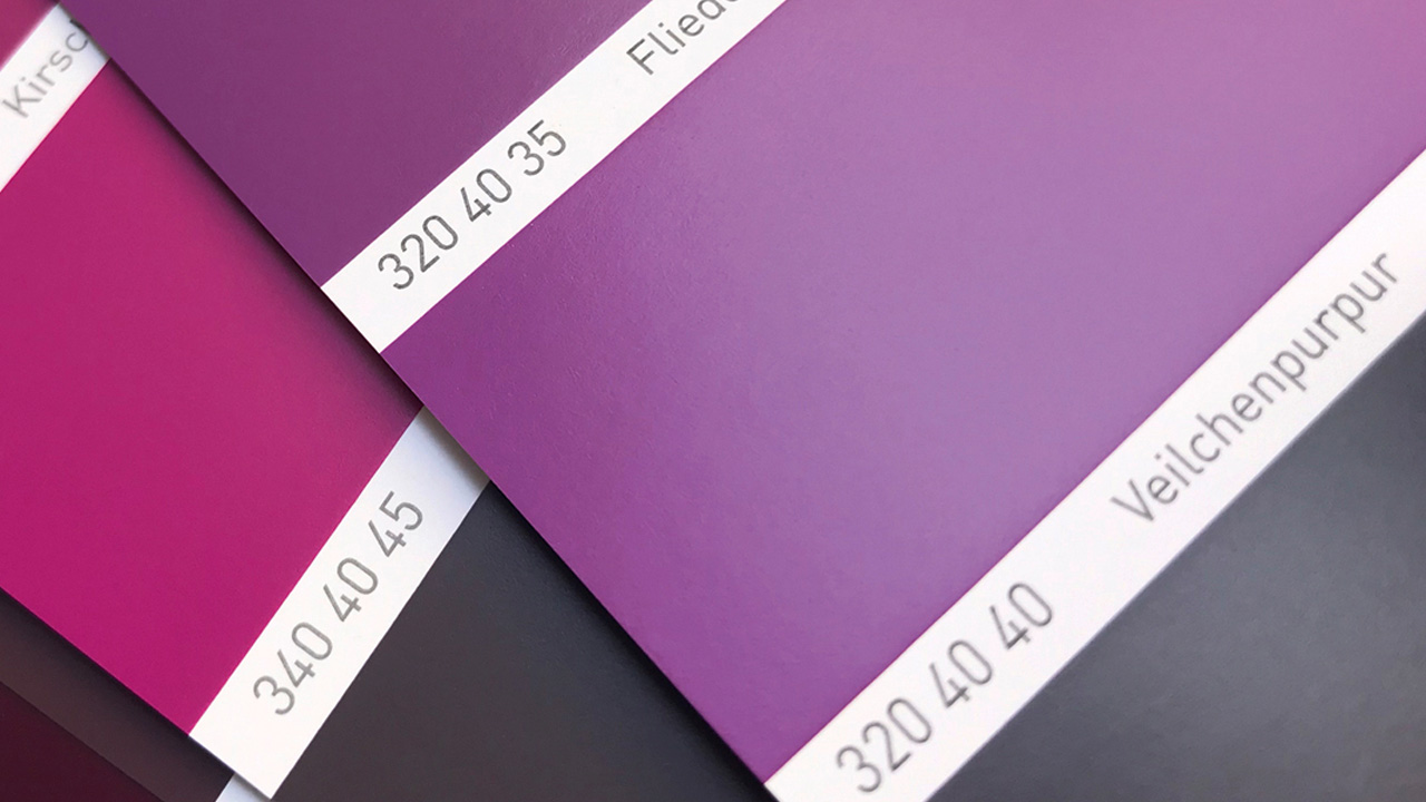 RAL 340 70 05 - Mauve Grey color palettes and color scheme combinations 